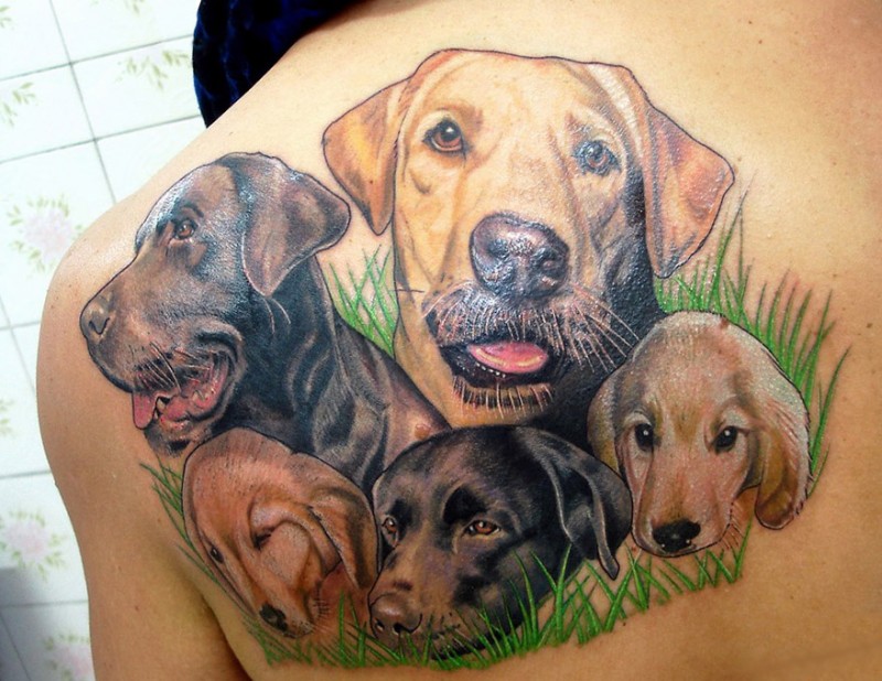 背部彩色的一群狗头像纹身图案