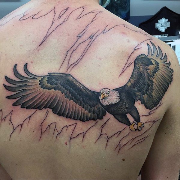 背部写实的彩色鹰纹身图案