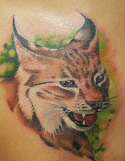 肩部彩色可爱的小野猫纹身图案