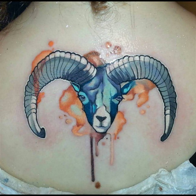 背部水彩风格彩色小山羊头像纹身图案