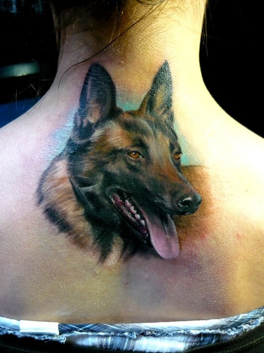 背部德国牧羊犬头像纹身图案