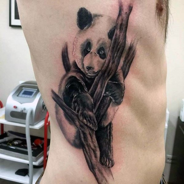 侧肋树上的黑灰熊猫纹身图案