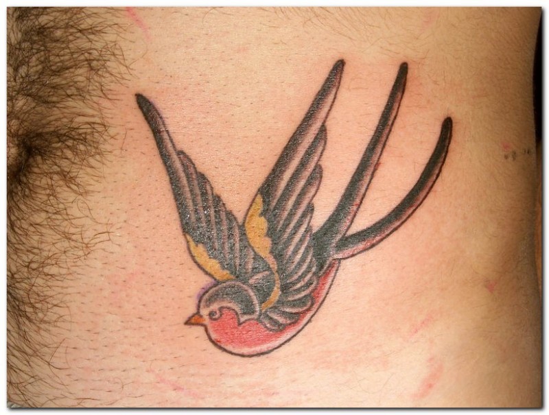 彩色的燕子纹身图案