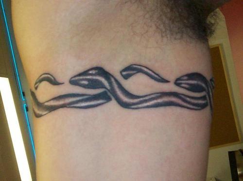 手臂蛇组合的臂环纹身图案