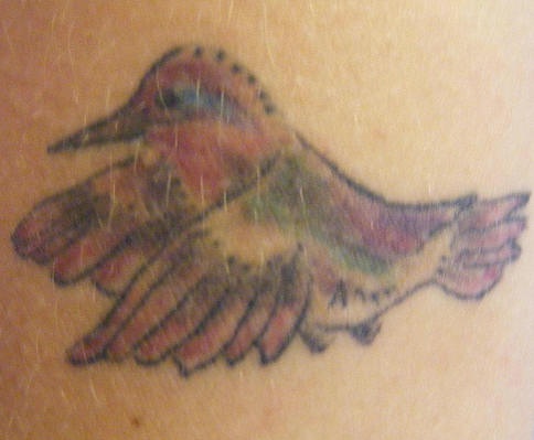 小蜂鸟彩绘纹身图案