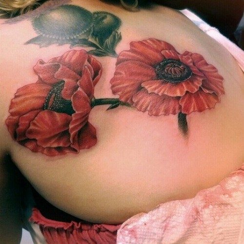 背部美丽逼真的罂粟花纹身图案