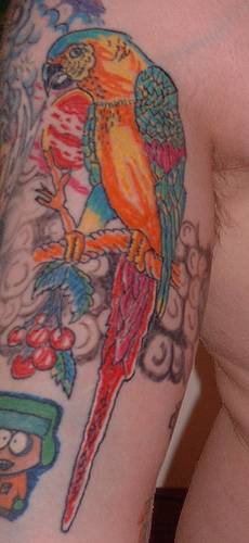 大臂彩色的鹦鹉纹身图案