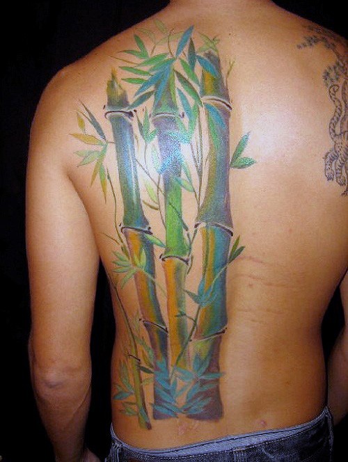 背部经典的天然彩色竹林纹身图案