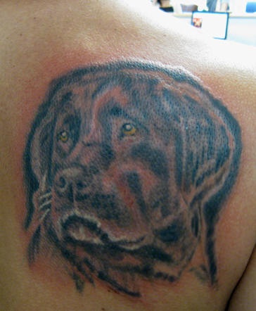 背部悲伤和聪明的狗头像纹身图案