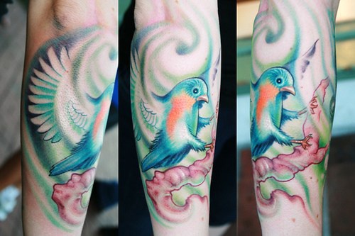 小臂彩色的小鸟坐在树枝纹身图案