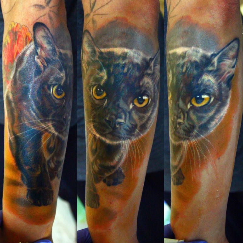 手臂彩绘令人毛骨悚然的写实猫纹身图案