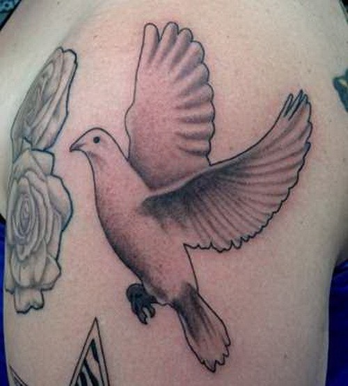 大臂黑白鸽子和玫瑰纹身图案
