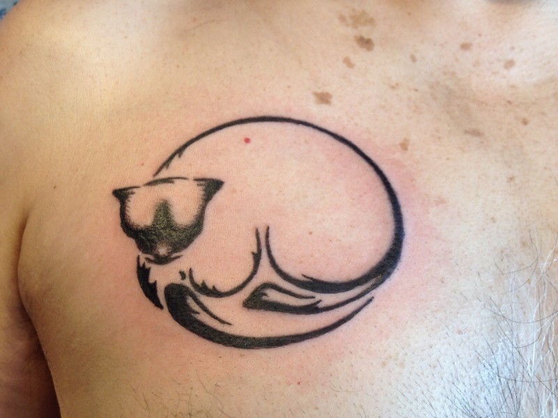 胸部黑色线条睡猫纹身图案