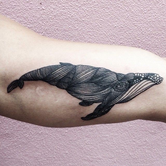 手臂不寻常的风格黑白鲸鱼纹身图案