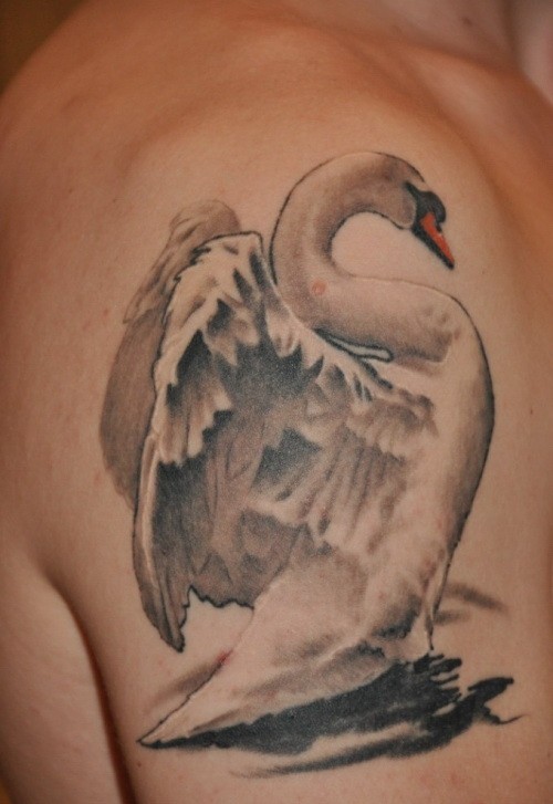 手臂上美丽的白天鹅纹身图案