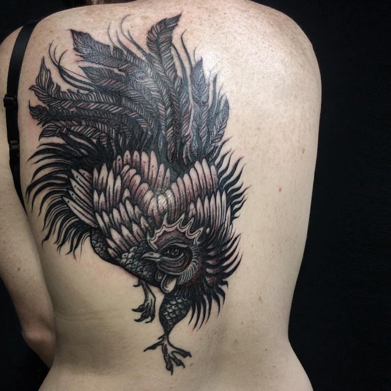 背部精致的黑色公鸡纹身图案