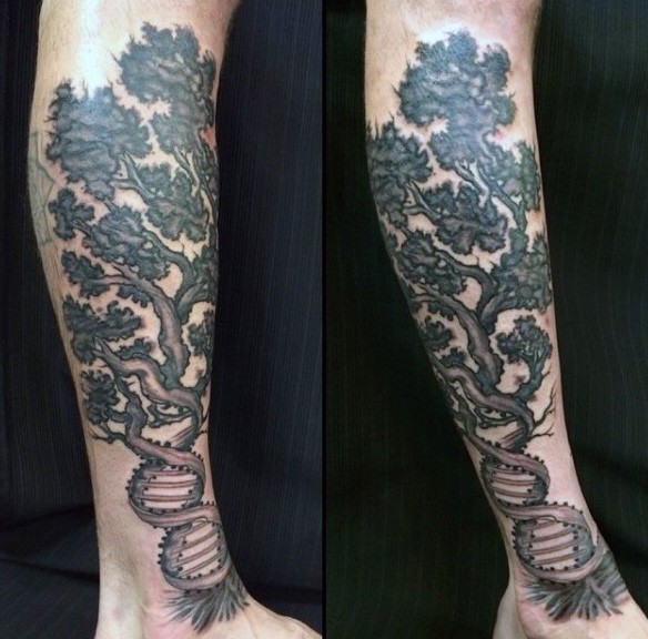 小腿很棒的黑色DNA形状大树纹身图案