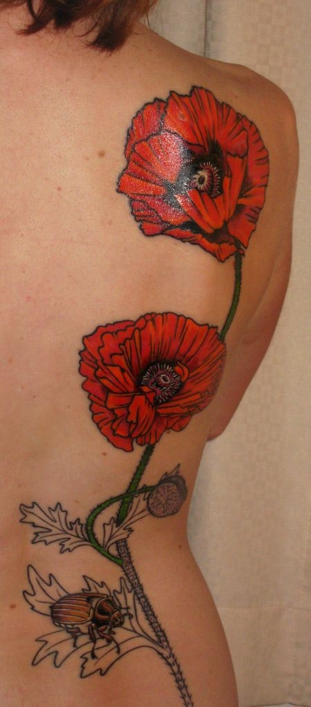 背部红罂粟花与甲壳虫纹身图案