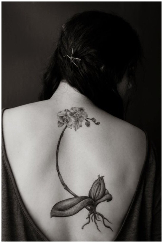 女生背部优雅的兰花纹身图案