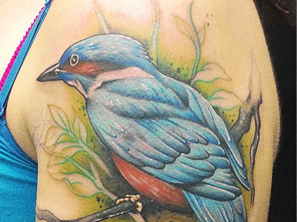 大臂美丽的蓝色鸟纹身图案