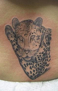 腰部美丽的黑白豹子纹身图案