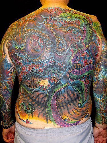 男性背部彩色的虎龙战纹身图案