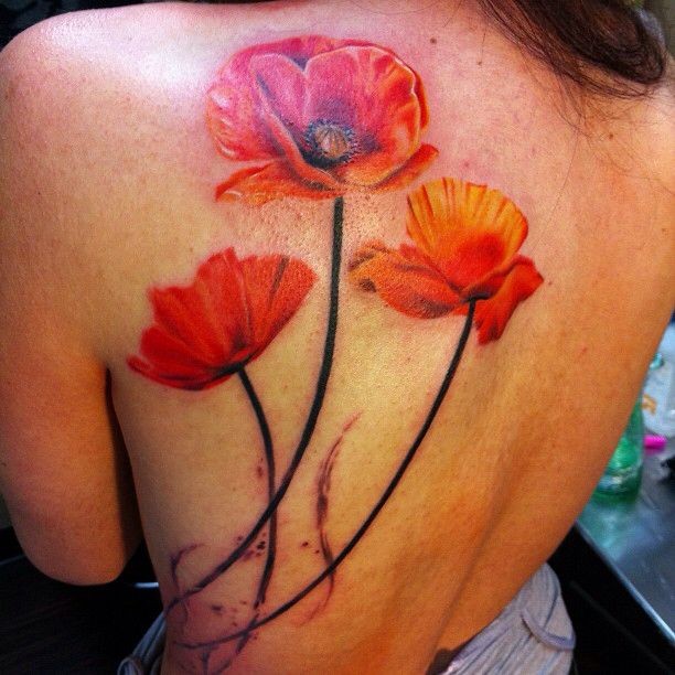 背部美丽的红罂粟花纹身图案