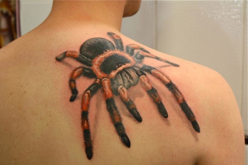 背部巨大的彩色蜘蛛纹身图案