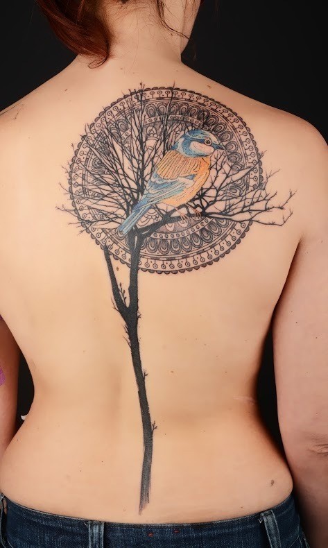 背部插画风格大树鸟装饰纹身图案
