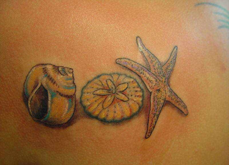 彩绘好看的贝壳和海星纹身图案