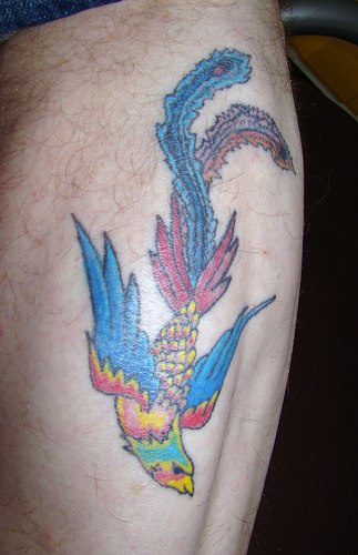 彩绘鲜艳的凤凰鸟纹身图案