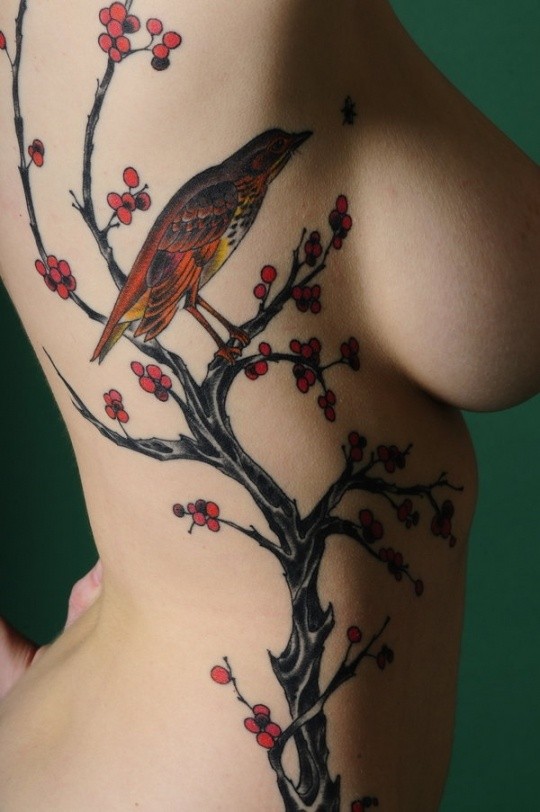 侧肋梅花树与七彩鸟纹身图案