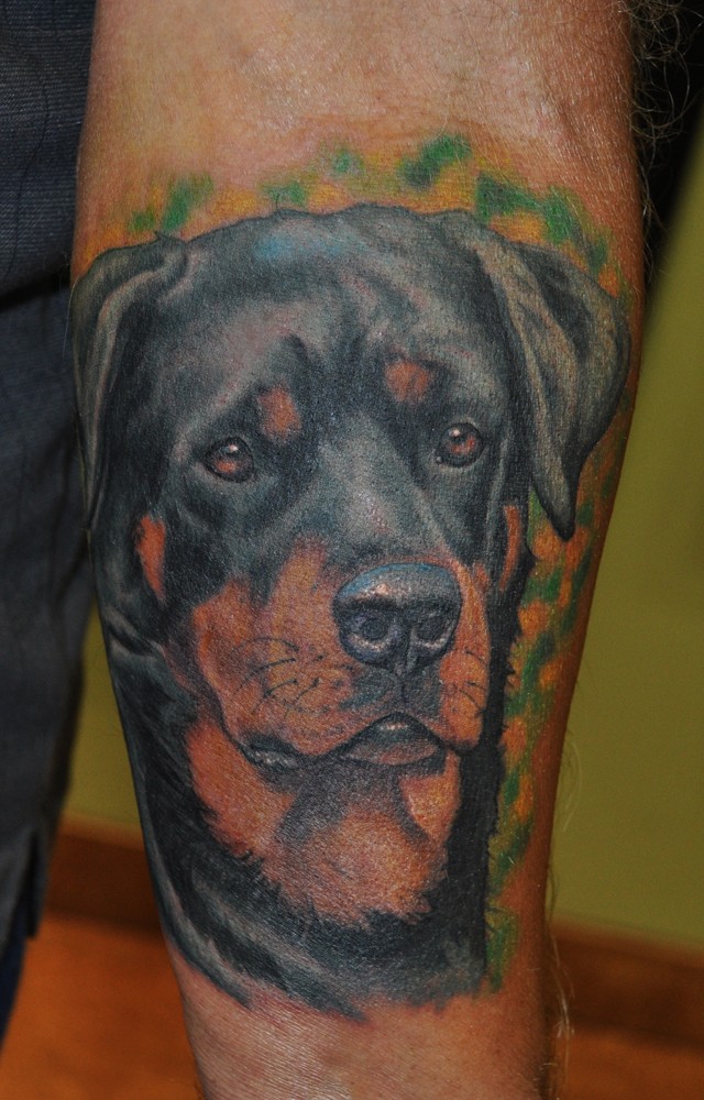 手臂绿色背景和写实的罗威纳犬纹身图案