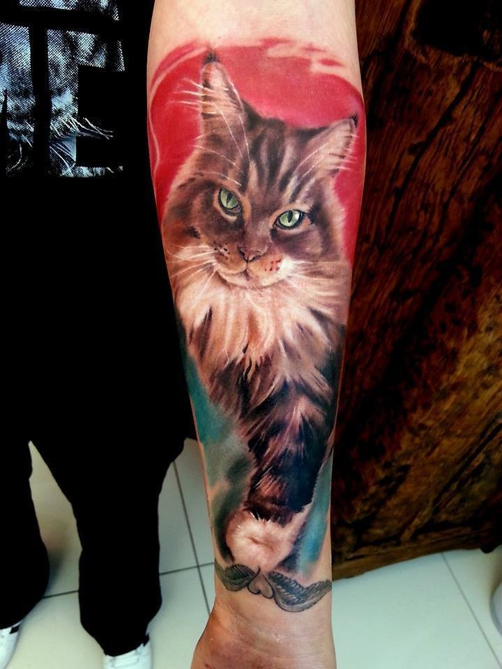小臂华丽写实的猫肖像纹身图案