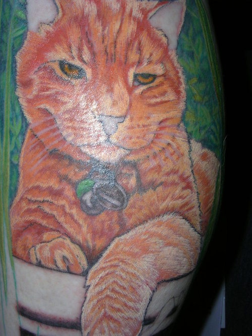 写实的红色猫纪念纹身图案