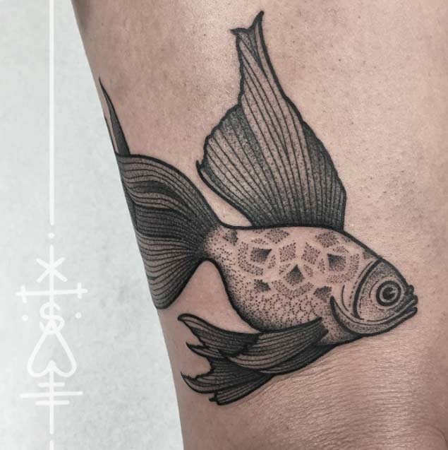 可爱的黑色线条点刺金鱼纹身图案