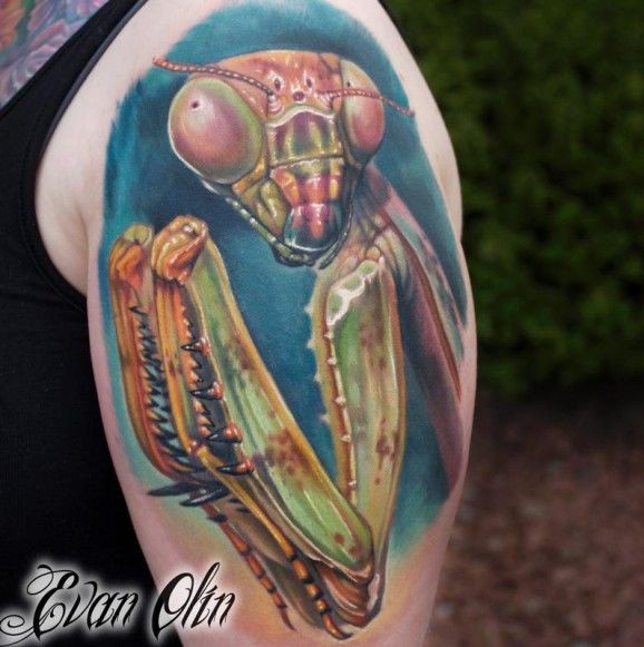 大臂彩色逼真的螳螂纹身图案