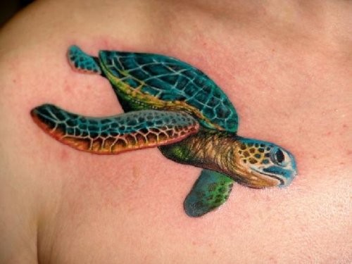 胸部漂亮写实的海龟纹身图案