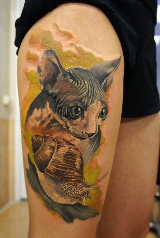 水彩斯芬克斯猫和蜗牛纹身图案