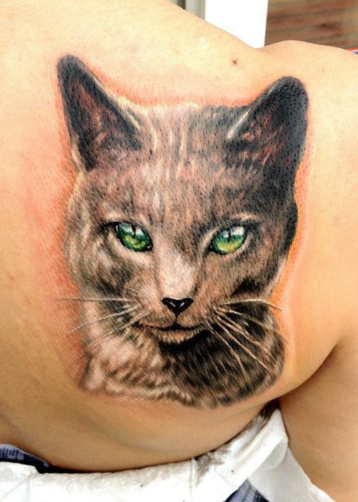 灰色的猫绿眼睛纹身图案