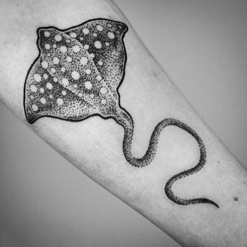 小臂微小的黑白点刺鳐鱼纹身图案