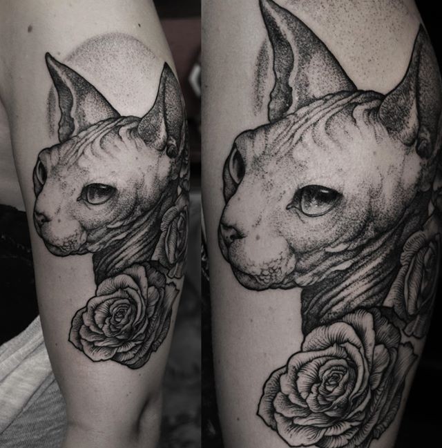 斯芬克斯猫和花朵线条纹身图案