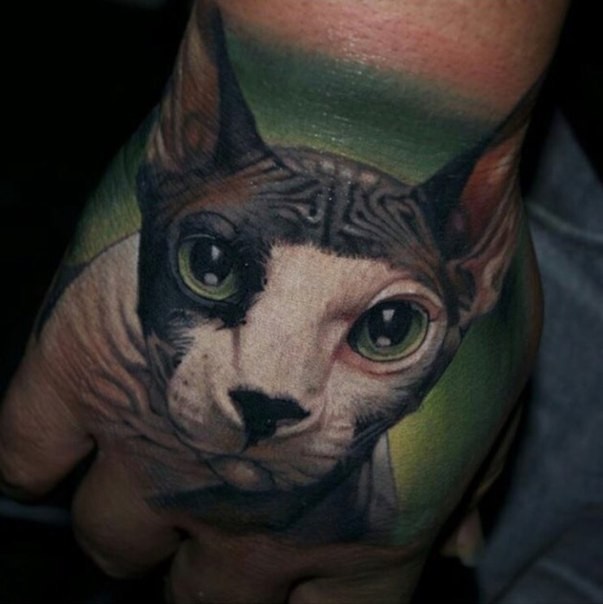 手背彩色可爱的斯芬克斯猫纹身图案