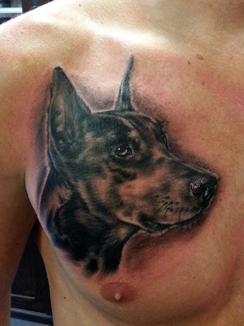 胸部写实的黑色杜宾犬纹身图案