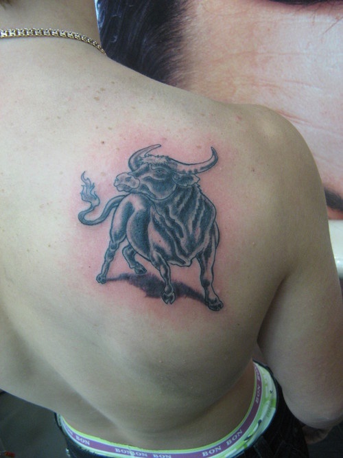 背部写实的公牛纹身图案