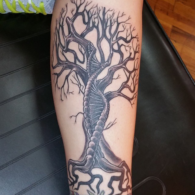 小腿壮观的黑色基因符号形状树纹身图案