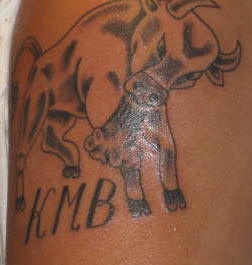 一头牛和字母纹身图案