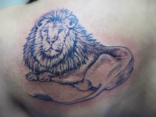 躺下的狮子黑灰背部纹身图案