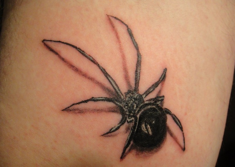 黑色写实逼真的蜘蛛纹身图案