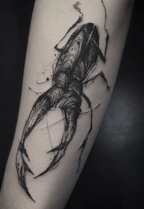 素描风格黑色线条昆虫小臂纹身图案